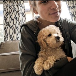 Critter Sitters - Teddy and Sarah!
