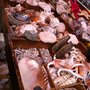 Photo of Minerales Manebach