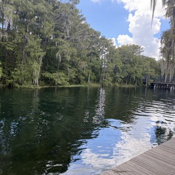 Swampy's Bar & Grille - American Near Me - Dunnellon, Florida Swampy's Bar & Grille - American Near Me - Dunnellon, Florida