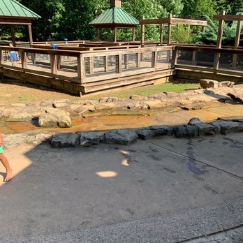 Brook Run Dog Park - Water trail - Dog Parks Near Me - Dunwoody, Georgia