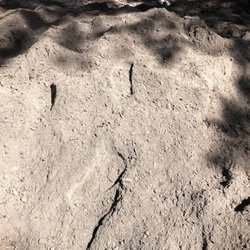 Mr Mulch - This is a close up of Mr. Much top soil..