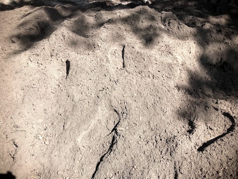 MR MULCH Updated August 2024 5420 41st St, Vero Beach, Florida