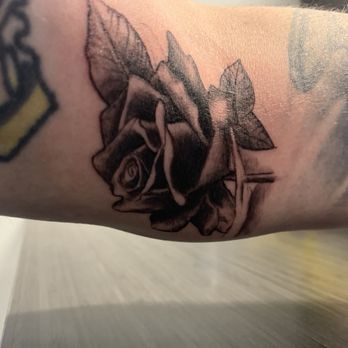 Wildlife Tattoo - Tattoo Near Me - Winnetka, California Wildlife Tattoo - Tattoo Near Me - Winnetka, California