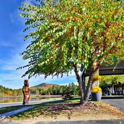 Saranac Lake by Best Western