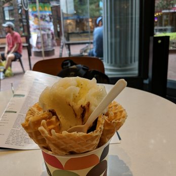 Gelato Boy - Midnight Chocolate ( Gluten Free) and Lemon + Basil gelato - Coffee & Tea Near Me - Boulder, Colorado Gelato Boy - Midnight Chocolate ( Gluten Free) and Lemon + Basil gelato - Coffee & Tea Near Me - Boulder, Colorado