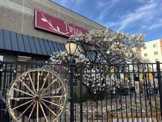 Twigs Tavern and Grille by null