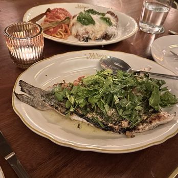 Milton's American Trattoria - Italian Near Me - Houston, Texas