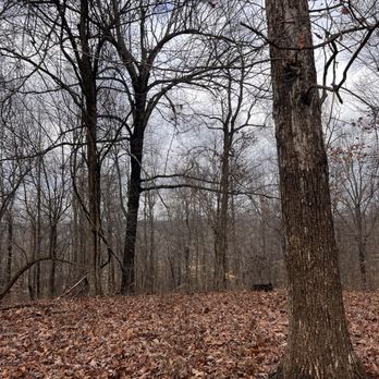 Mahr Park Arboretum - Parks Near Me - Madisonville, Kentucky Mahr Park Arboretum - Parks Near Me - Madisonville, Kentucky