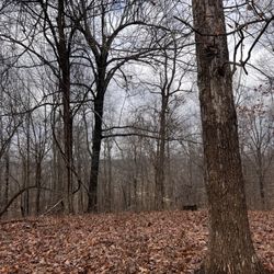 Mahr Park Arboretum