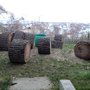 Photo of Longo Tree Experts