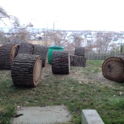Longo Tree Experts