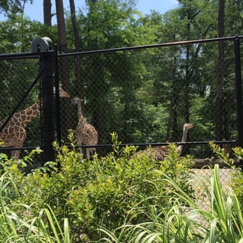 Birmingham Zoo - Zoos Near Me - Birmingham, Alabama