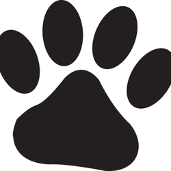 Clemmons Veterinary Clinic