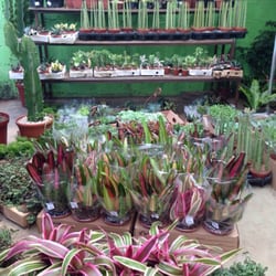 Floricultura Uriel