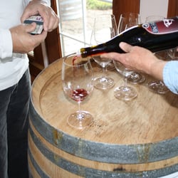 Stag Hollow Wines - Hospitality