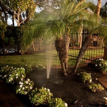 Green Plus Landscaping - Broken sprinkler - Tree Services Near Me Green Plus Landscaping - Broken sprinkler - Tree Services Near Me