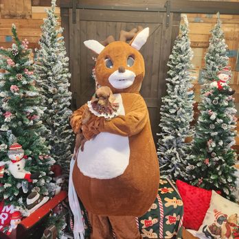 Amazing Mutts Puppy Rescue - Dee, with Rudy Reindeer, at Amazing Mutts Puppy Rescue in New Egypt, NJ. - Animal Shelters Near Me - New Egypt, New Jersey Amazing Mutts Puppy Rescue - Dee, with Rudy Reindeer, at Amazing Mutts Puppy Rescue in New Egypt, NJ. - Animal Shelters Near Me - New Egypt, New Jersey