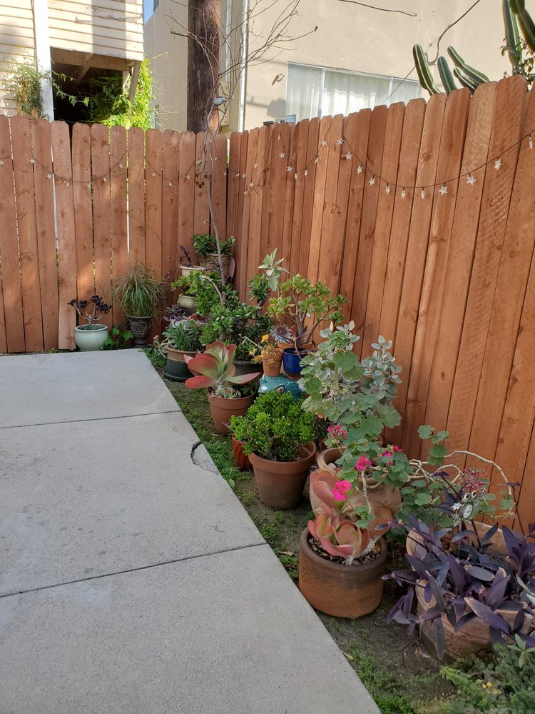 AFTON PROPERTIES Updated September 2024 64 Photos & 63 Reviews 5150 Wilshire Blvd, Los