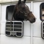 Photo of Vashon Island Veterinary