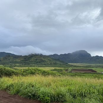 Kauai ATV Tours - Tours Near Me - Koloa, Hawaii