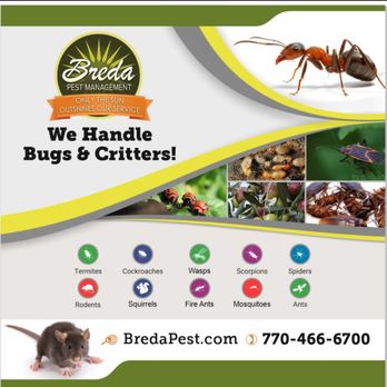 Breda Pest Management - Pest Control Near Me - Loganville, Georgia Breda Pest Management - Pest Control Near Me - Loganville, Georgia