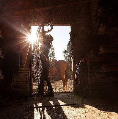 Coastal Farm & Ranch by null