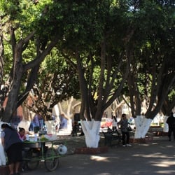 Jardín de Embajadoras