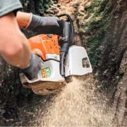 Arborscape Tree Care