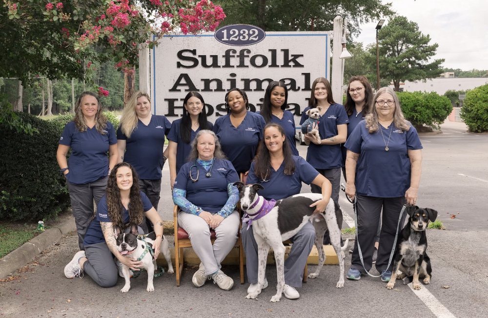 Suffolk Animal Hospital - pet boarding facility in Suffolk, VA