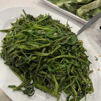Nha Trang Restaurant - Garlic Stir Fried Ong Choy Greens - Vietnamese Near Me - San Jose, California Nha Trang Restaurant - Garlic Stir Fried Ong Choy Greens - Vietnamese Near Me - San Jose, California