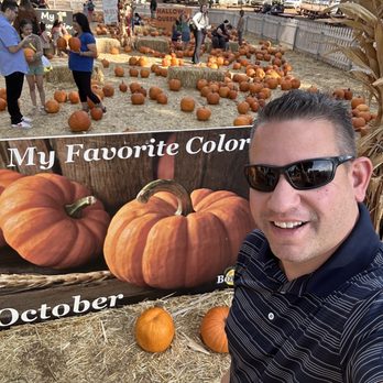 Boa Vista Orchards - Lots of pumpkins here - Fruits & Veggies Near Me - Placerville, California Boa Vista Orchards - Lots of pumpkins here - Fruits & Veggies Near Me - Placerville, California