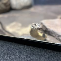 Clyde Peeling's Reptiland