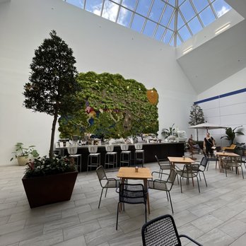 The Pots Cafe - Moss wall at harvest patio - Cafes Near Me - Boca Raton, Florida