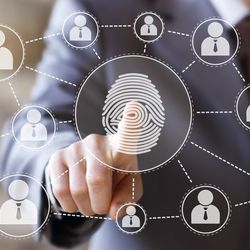Ipview Security Systems