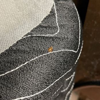 Hi-Way Host Motel - Bed bugs - Hotels Near Me - Pasadena, California Hi-Way Host Motel - Bed bugs - Hotels Near Me - Pasadena, California