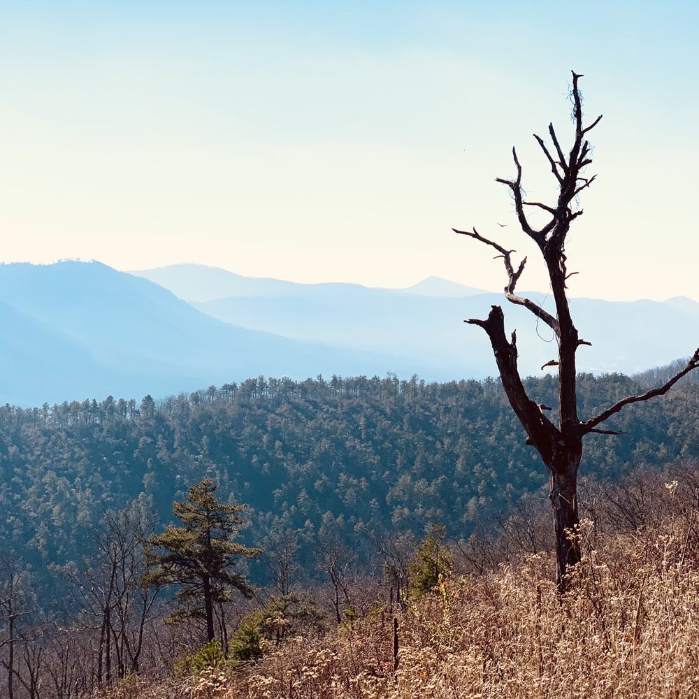 Blue Ridge Parkway - Hiking Near Me - Floyd, Virginia Blue Ridge Parkway - Hiking Near Me - Floyd, Virginia