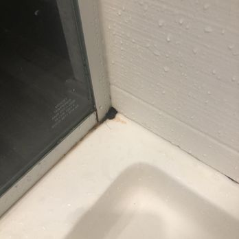 SpringHill Suites by Marriott Atlanta Downtown - Disgusting shower - Hotels Near Me - Atlanta, Georgia SpringHill Suites by Marriott Atlanta Downtown - Disgusting shower - Hotels Near Me - Atlanta, Georgia