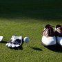 Photo of Golden Eagle Golf Club