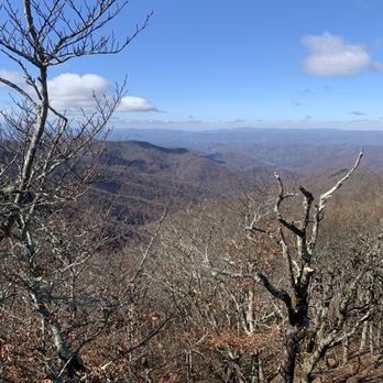 Craggy Gardens - Hiking Near Me - Black Mountain, North Carolina