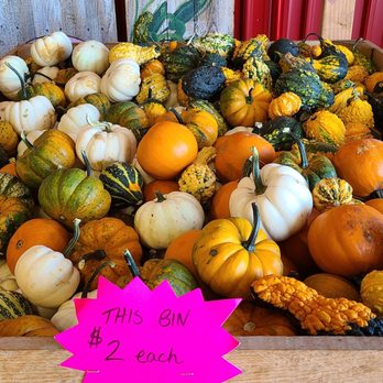 Stade's Farm & Market - Farmers Market Near Me - McHenry, Illinois Stade's Farm & Market - Farmers Market Near Me - McHenry, Illinois