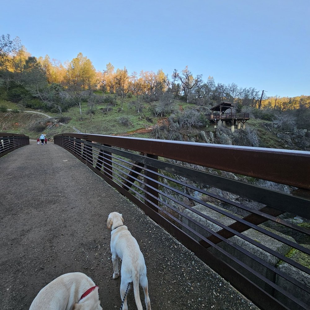 Hidden Falls Regional Park - Bridge towards Canyon View Overlook - Parks Near Me - Auburn, California