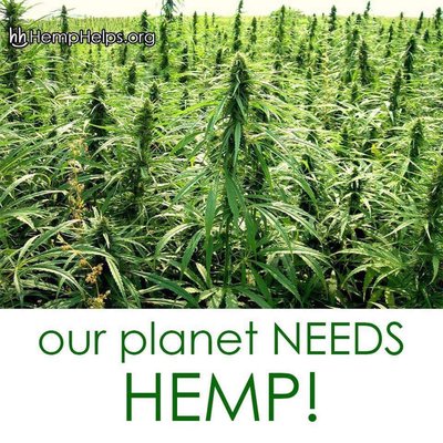 O Happy Days Cafe by null