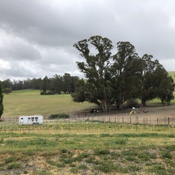 Reis River Ranch Vineyards - Open field and children's play area at Reis River Ranch Vineyards in Petaluma. - Wineries Near Me - Petaluma, California Reis River Ranch Vineyards - Open field and children's play area at Reis River Ranch Vineyards in Petaluma. - Wineries Near Me - Petaluma, California