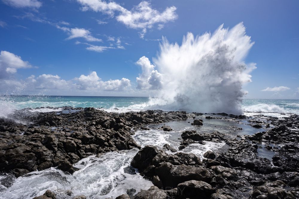 MAKAPU’U TIDEPOOLS 512 Photos & 159 Reviews Makapuu Lighthouse Rd