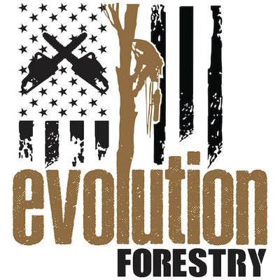 Evolution Forestry