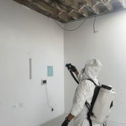 Emergency Works - Spraying Vital Oxide to kill mold