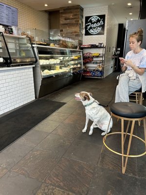 Bagels & Co. by null