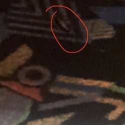 The flooring