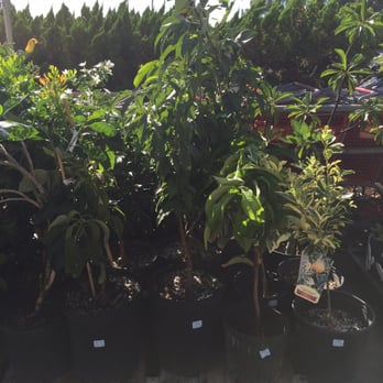 City Mill - Hardware Stores Near Me - Honolulu, Hawaii