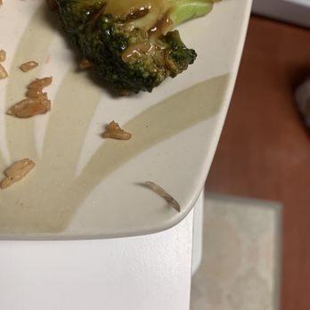 Hai Zhou Village - Fingernail in my food - Chinese Near Me - Germantown, Maryland Hai Zhou Village - Fingernail in my food - Chinese Near Me - Germantown, Maryland